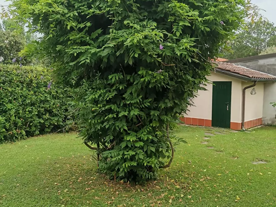 Immagine 5 di Villa in affitto  a Forte Dei Marmi