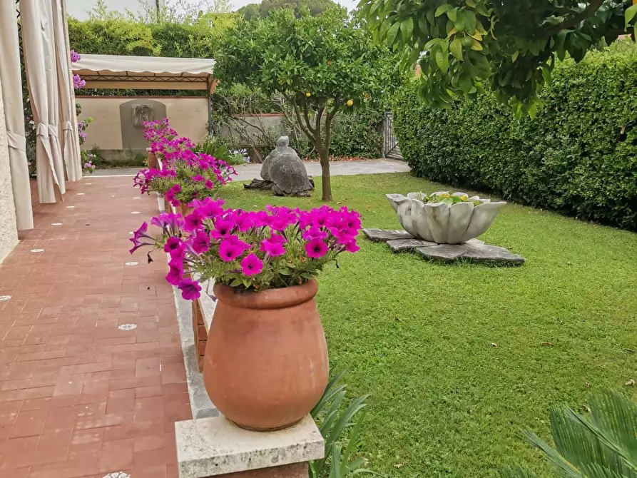 Immagine 8 di Villa in affitto  a Forte Dei Marmi