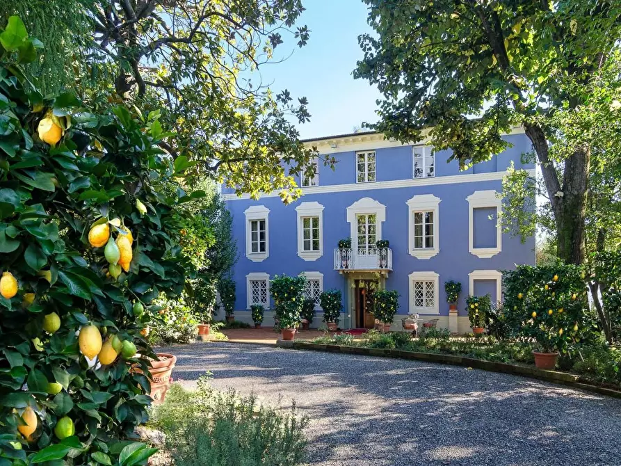 Immagine 26 di Albergo/B&B/Residence in vendita  a Lucca