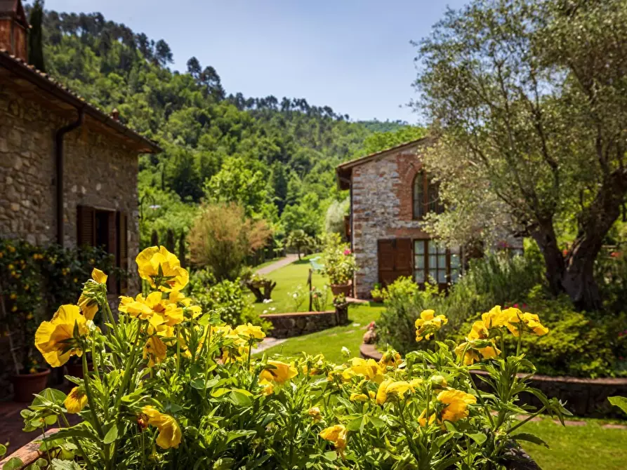 Immagine 58 di Rustico / casale in vendita  a Lucca