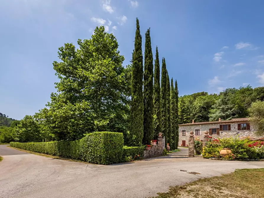 Immagine 47 di Rustico / casale in vendita  a Lucca
