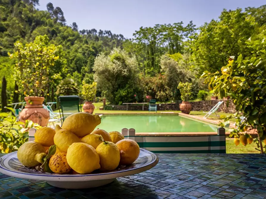 Immagine 54 di Rustico / casale in vendita  a Lucca