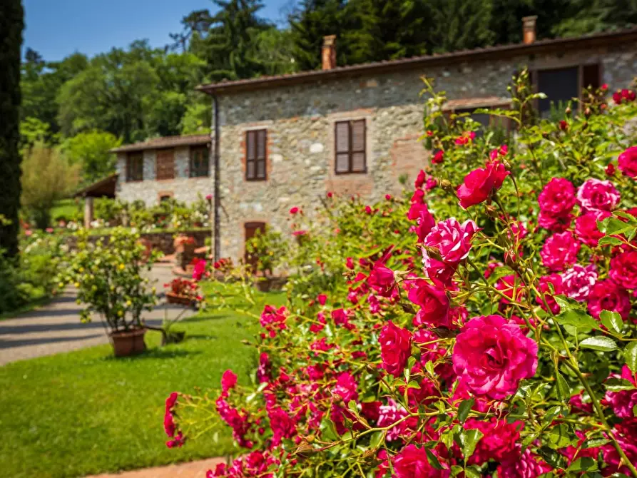 Immagine 49 di Rustico / casale in vendita  a Lucca