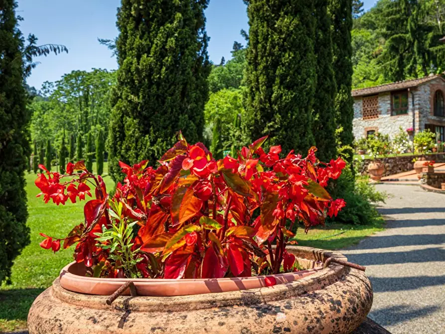 Immagine 48 di Rustico / casale in vendita  a Lucca