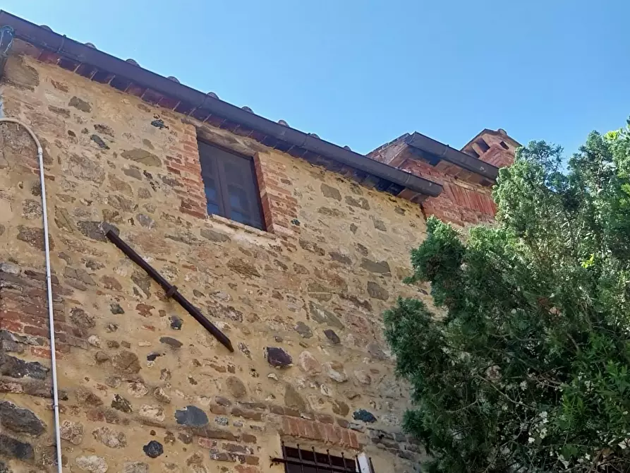 Immagine 66 di Appartamento in vendita  a Murlo