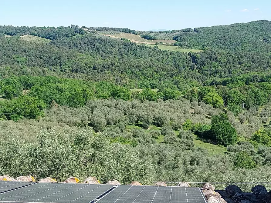 Immagine 75 di Appartamento in vendita  a Murlo