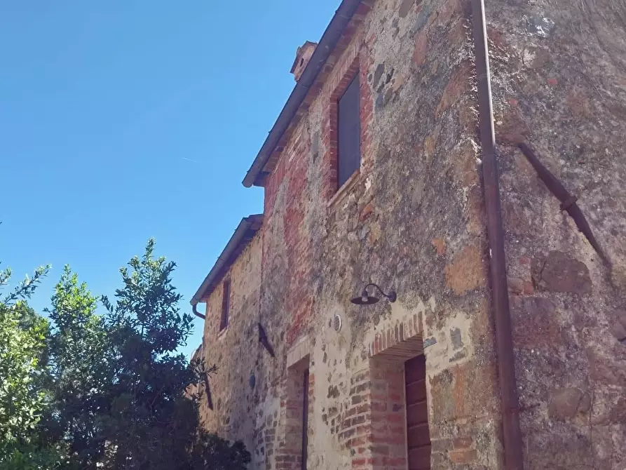 Immagine 4 di Appartamento in vendita  a Murlo