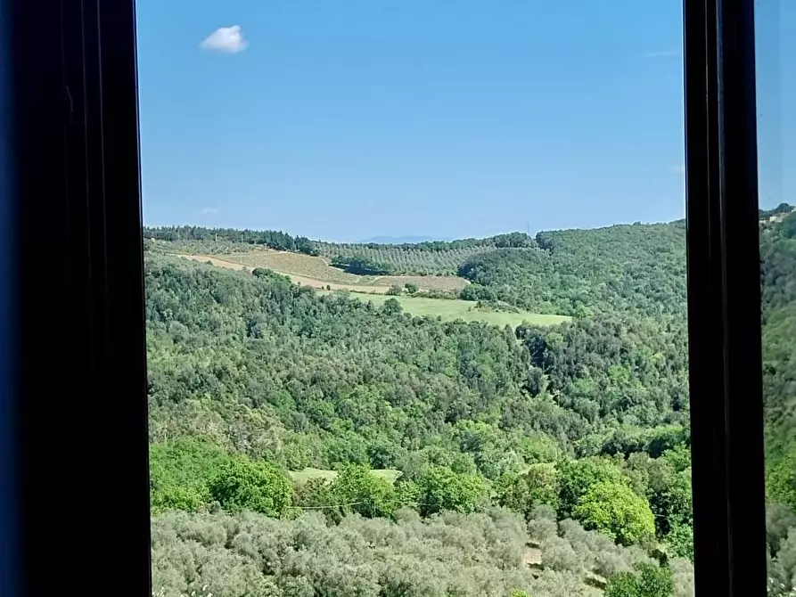 Immagine 1 di Appartamento in vendita  a Murlo