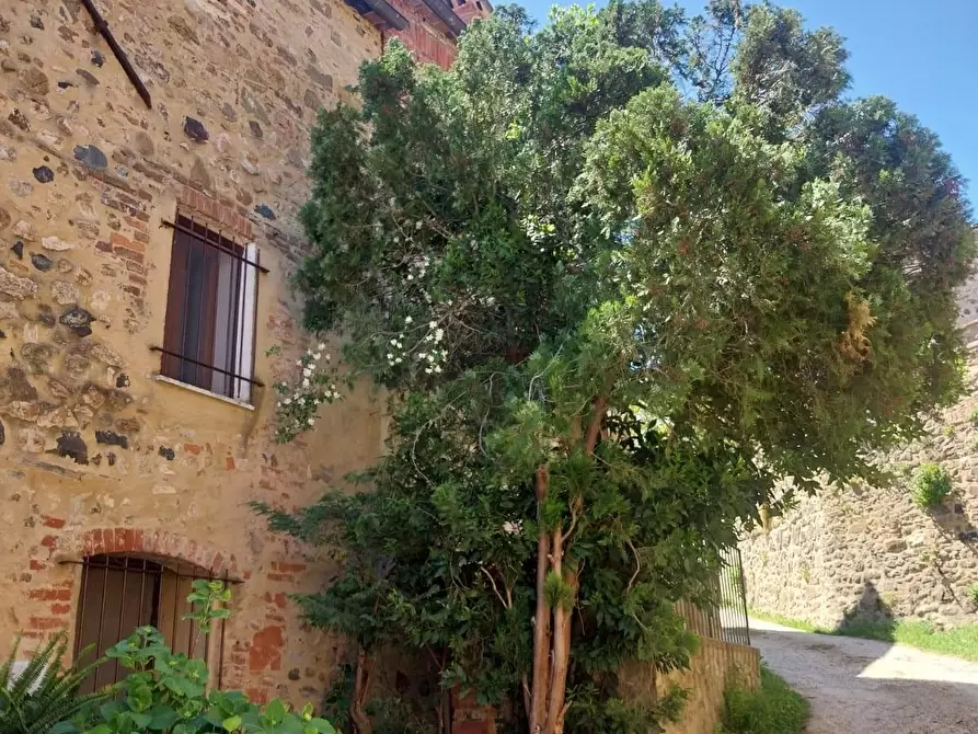 Immagine 3 di Appartamento in vendita  a Murlo