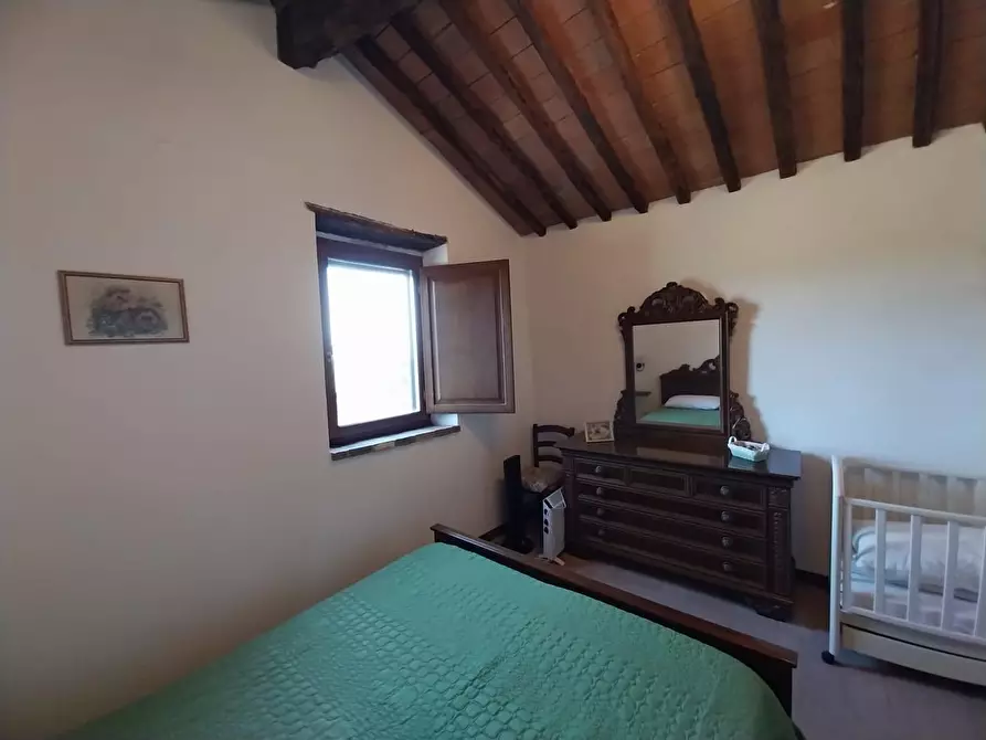 Immagine 58 di Appartamento in vendita  a Murlo