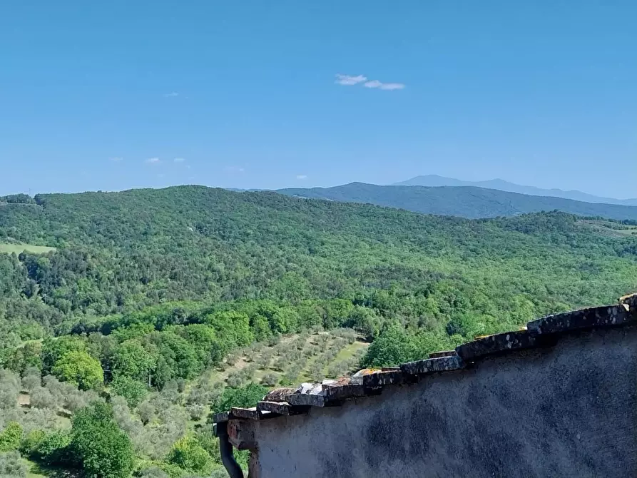 Immagine 48 di Appartamento in vendita  a Murlo