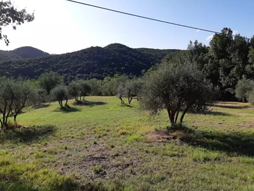 Immagine 24 di Appartamento in vendita  a Murlo