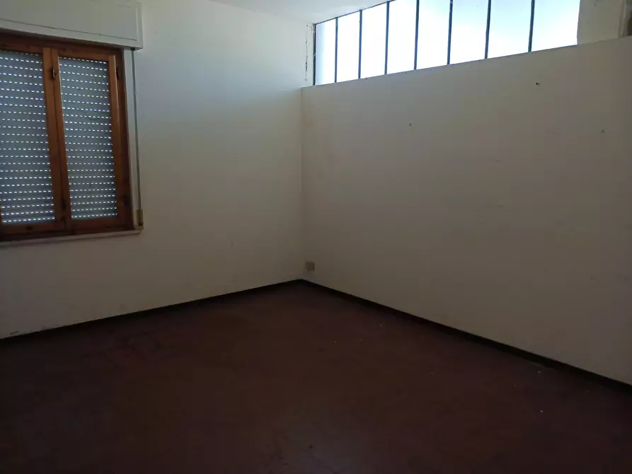 Immagine 7 di Capannone industriale in affitto  a Terricciola