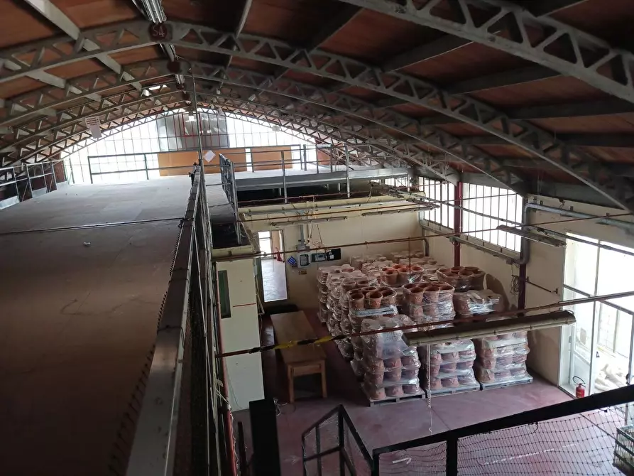 Immagine 13 di Capannone industriale in affitto  a Terricciola
