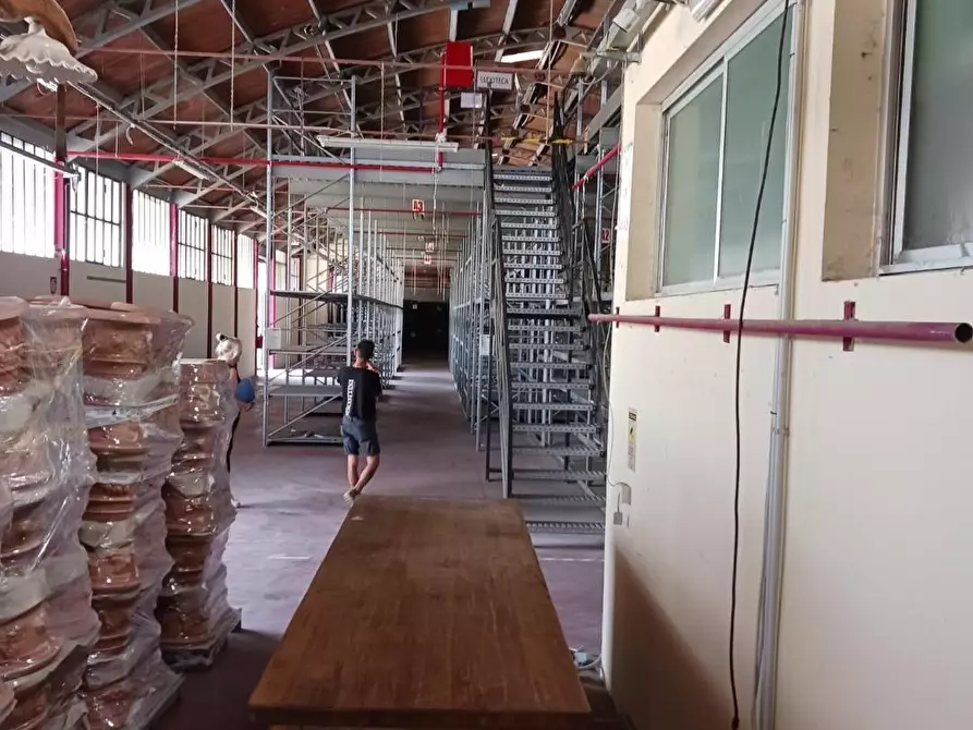 Immagine 5 di Capannone industriale in affitto  a Terricciola