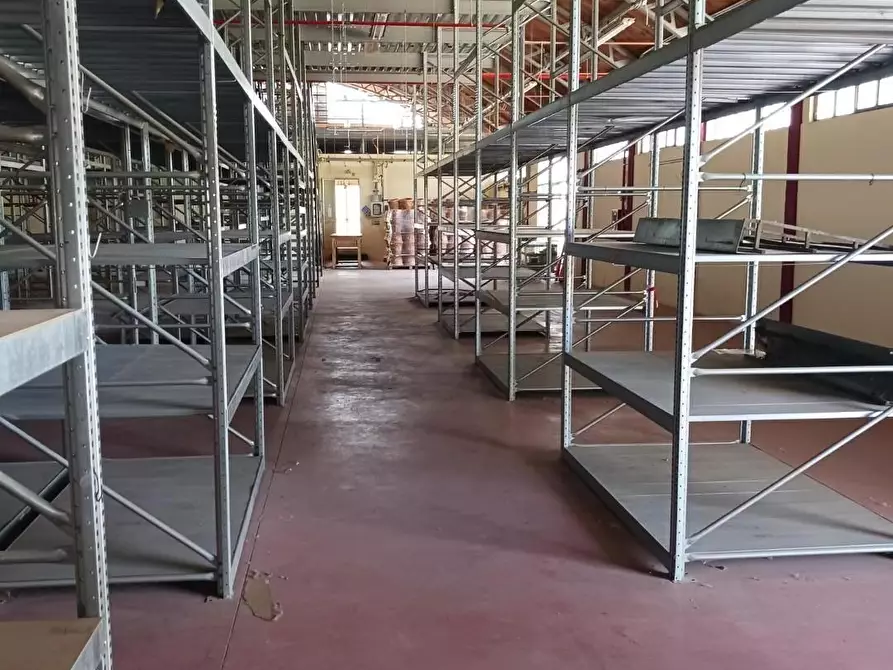 Immagine 2 di Capannone industriale in affitto  a Terricciola