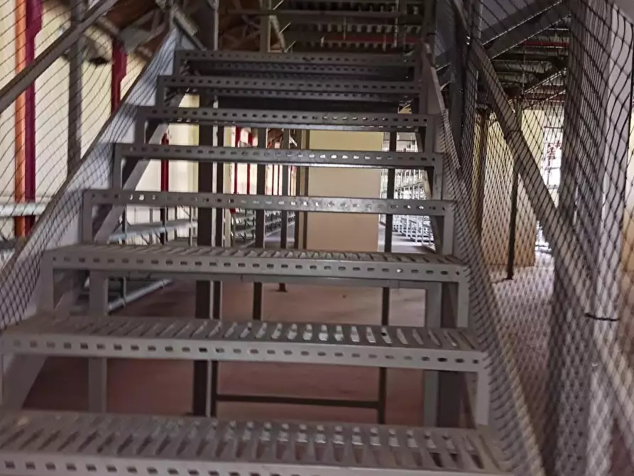 Immagine 6 di Capannone industriale in affitto  a Terricciola