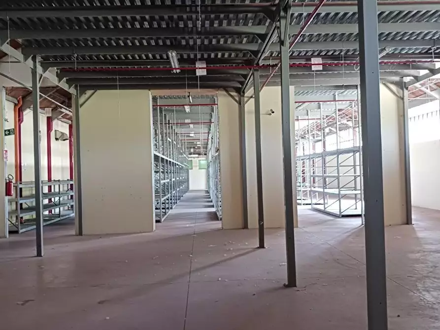 Immagine 3 di Capannone industriale in affitto  a Terricciola