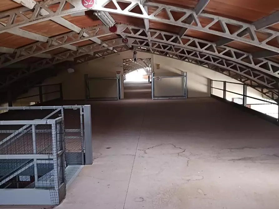 Immagine 12 di Capannone industriale in affitto  a Terricciola