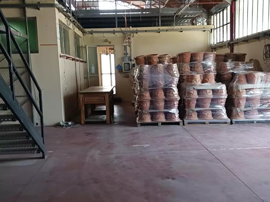 Immagine 4 di Capannone industriale in affitto  a Terricciola
