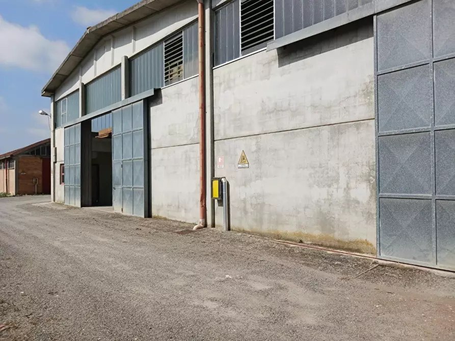 Immagine 30 di Capannone industriale in affitto  a Terricciola