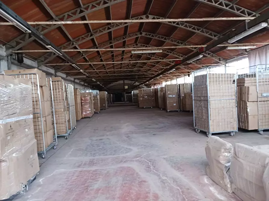 Immagine 7 di Capannone industriale in affitto  a Terricciola