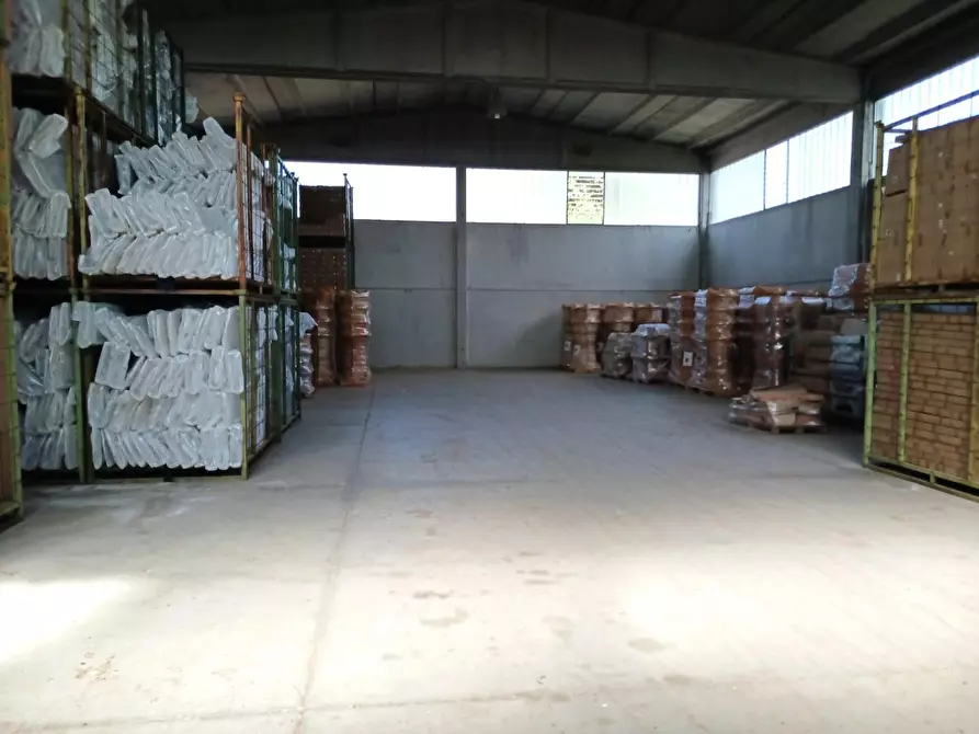 Immagine 4 di Capannone industriale in affitto  a Terricciola