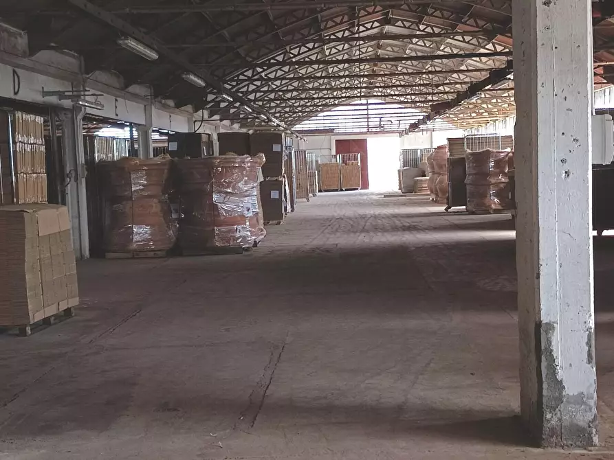 Immagine 2 di Capannone industriale in affitto  a Terricciola