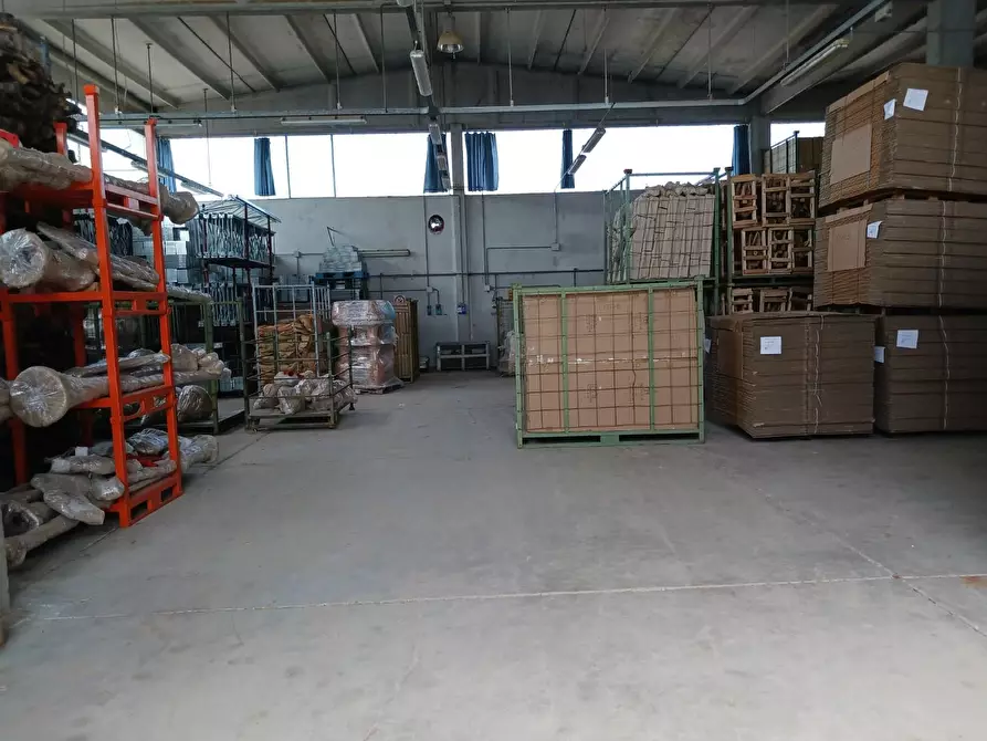 Immagine 8 di Capannone industriale in affitto  a Terricciola