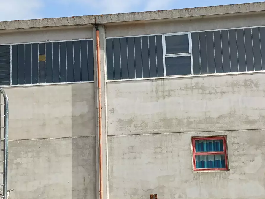 Immagine 28 di Capannone industriale in affitto  a Terricciola