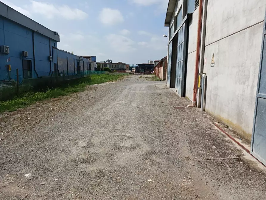 Immagine 32 di Capannone industriale in affitto  a Terricciola