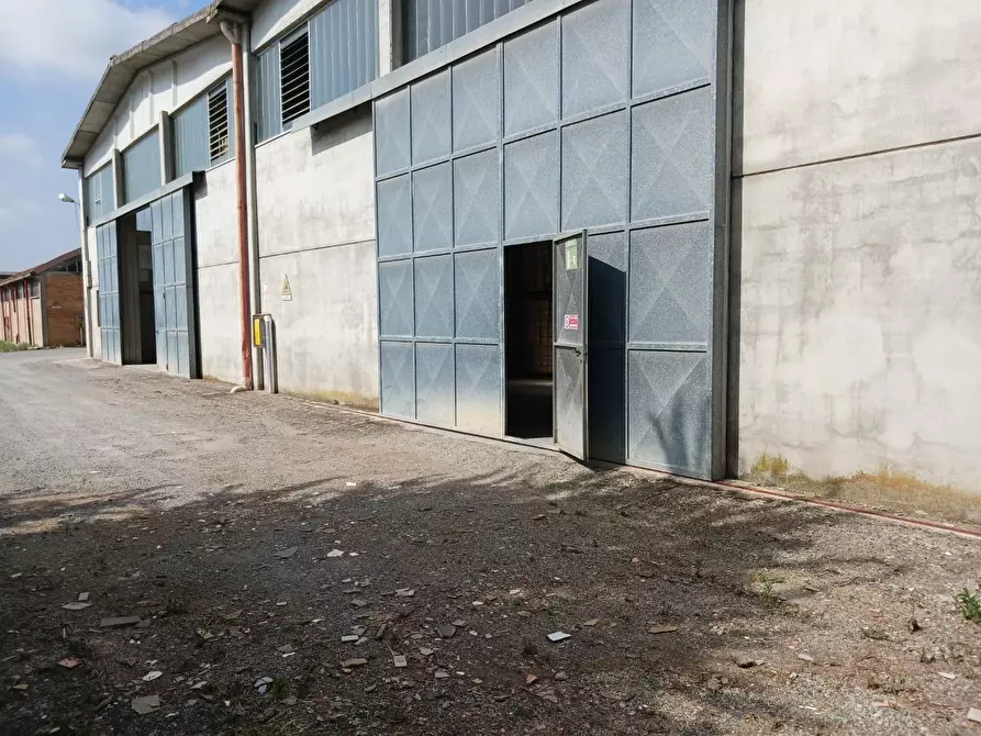 Immagine 31 di Capannone industriale in affitto  a Terricciola