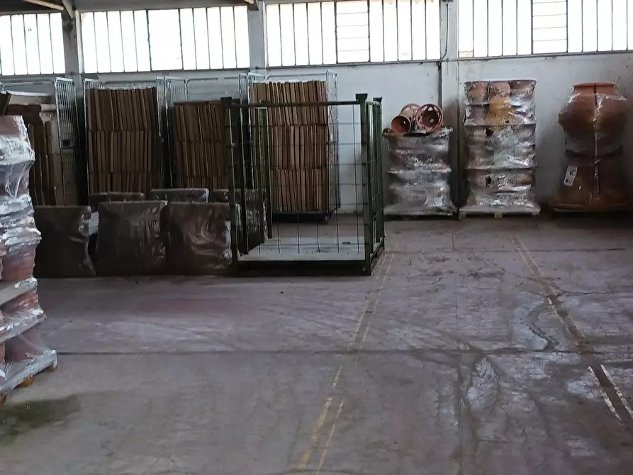 Immagine 5 di Capannone industriale in affitto  a Terricciola