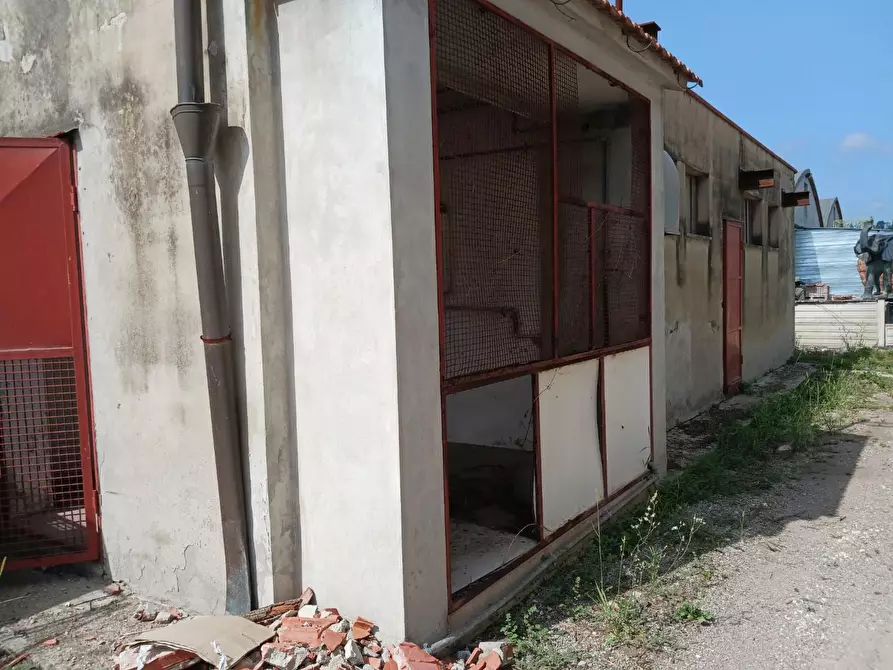 Immagine 33 di Capannone industriale in affitto  a Terricciola