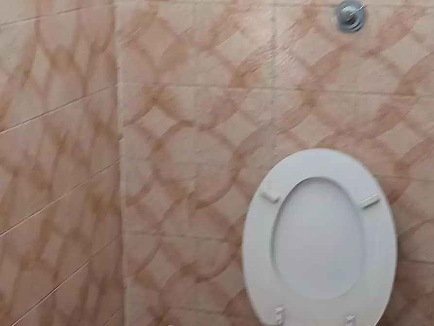 Immagine 10 di Capannone industriale in affitto  a Terricciola