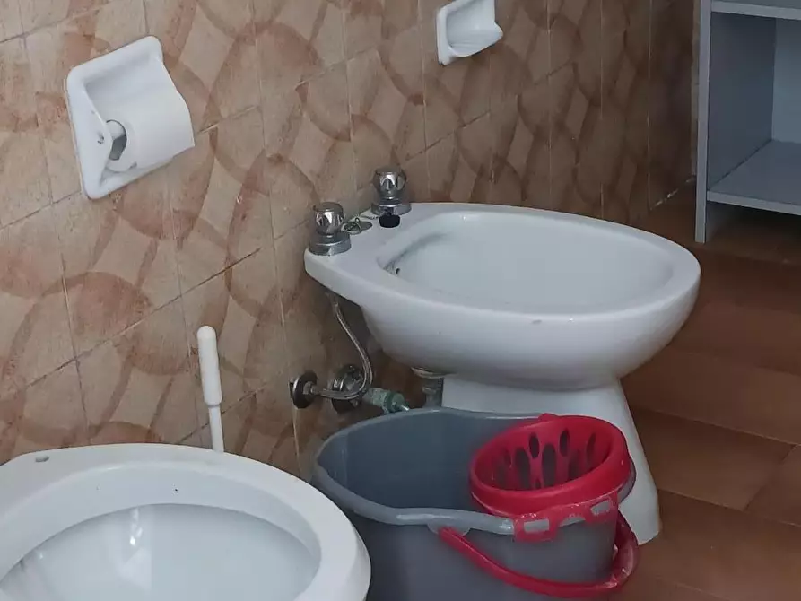 Immagine 9 di Capannone industriale in affitto  a Terricciola