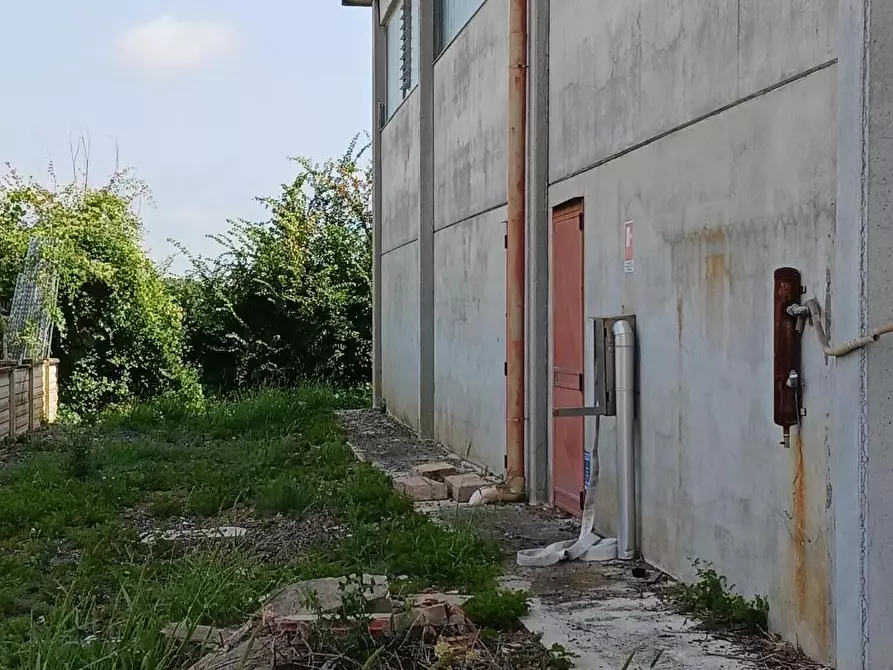 Immagine 26 di Capannone industriale in affitto  a Terricciola
