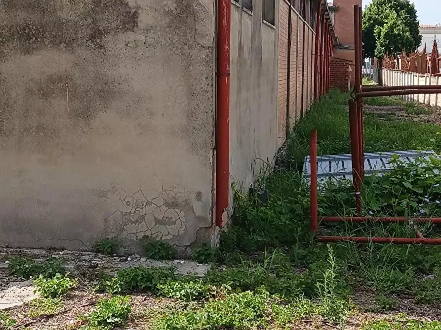 Immagine 27 di Capannone industriale in affitto  a Terricciola