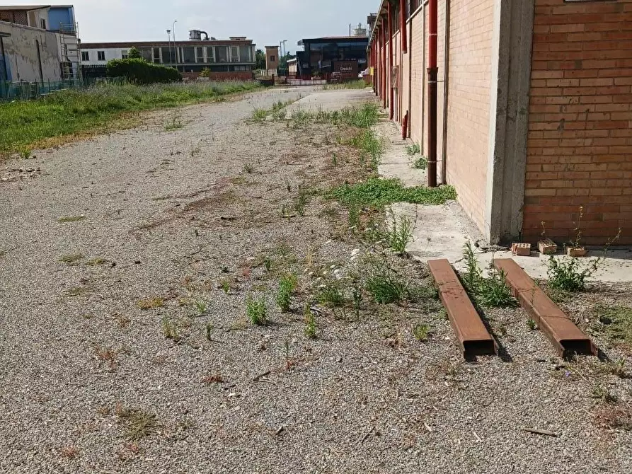 Immagine 29 di Capannone industriale in affitto  a Terricciola