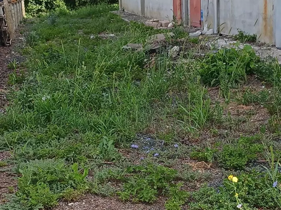 Immagine 25 di Capannone industriale in affitto  a Terricciola