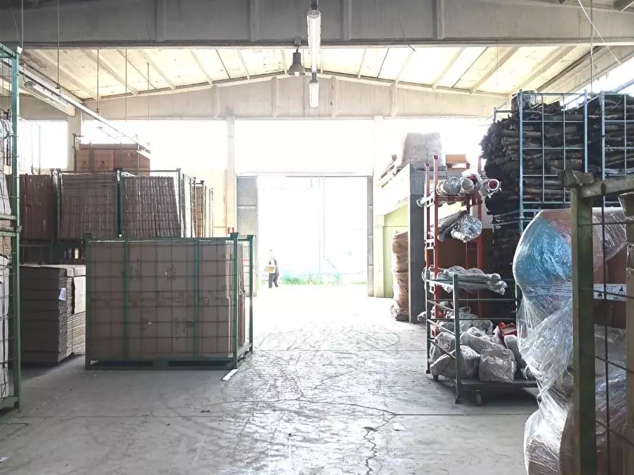 Immagine 3 di Capannone industriale in affitto  a Terricciola