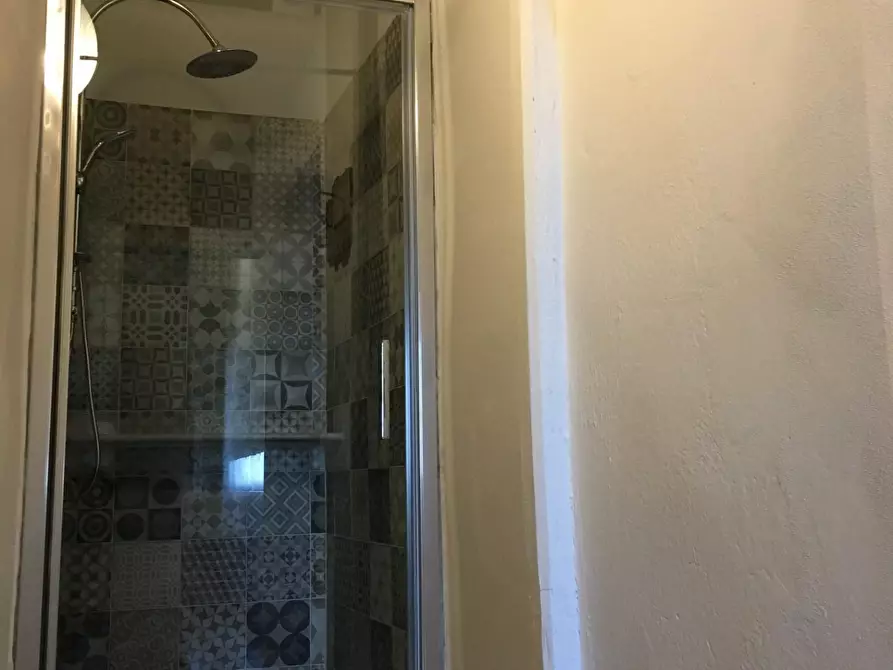 Immagine 35 di Palazzo in vendita  a Montopoli In Val D'arno