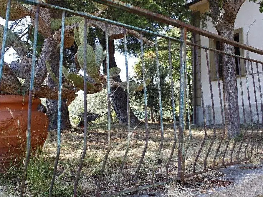 Immagine 25 di Villa in vendita  a Santa Luce