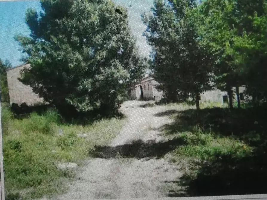 Immagine 5 di Rustico / casale in vendita  a Radicondoli