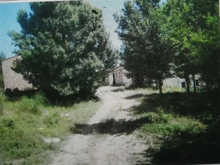 Immagine 3 di Rustico / casale in vendita  a Radicondoli