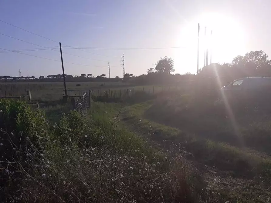 Immagine 2 di Terreno agricolo in vendita  a Pisa