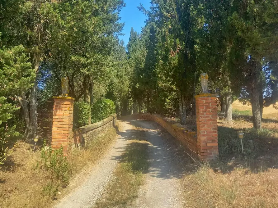 Immagine 32 di Casa colonica in vendita  a Montaione