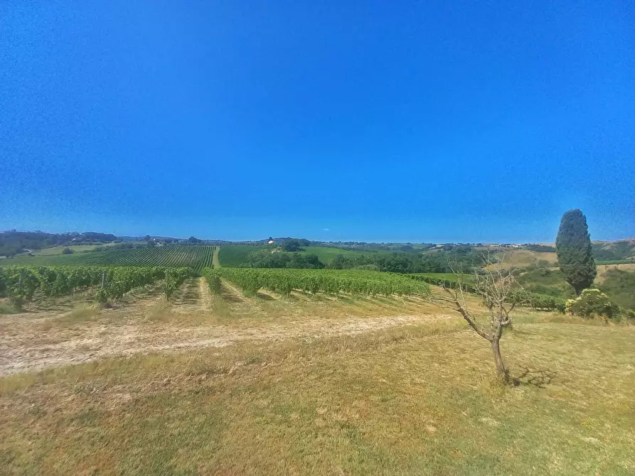 Immagine 29 di Casa colonica in vendita  a Montaione