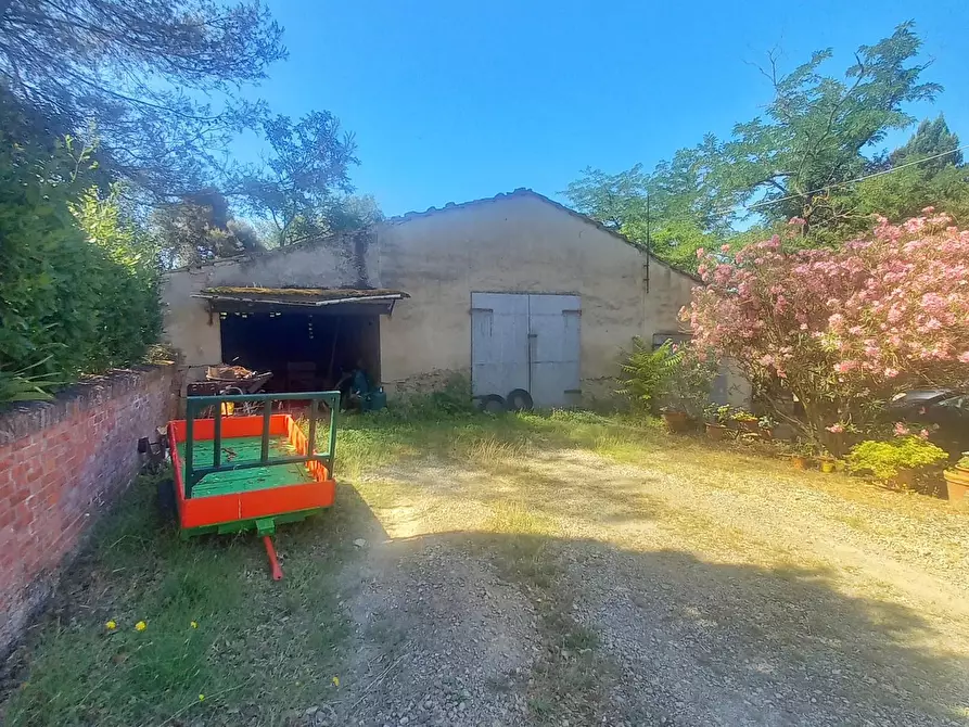 Immagine 22 di Casa colonica in vendita  a Montaione