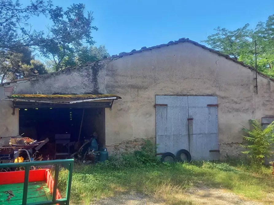 Immagine 23 di Casa colonica in vendita  a Montaione
